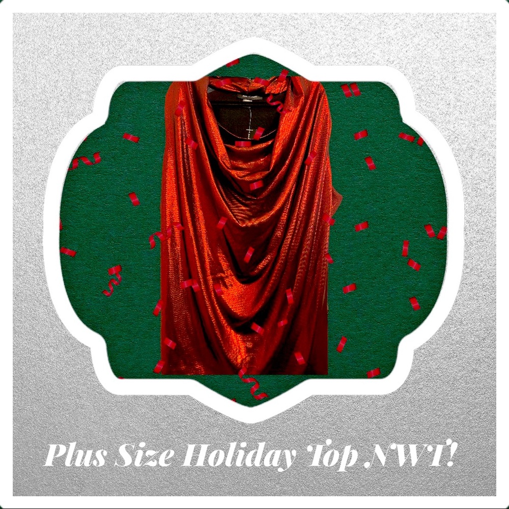 Plus Size Metallic Red Drape Neck Top 30/32